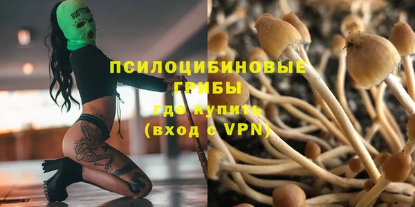 a pvp Армянск
